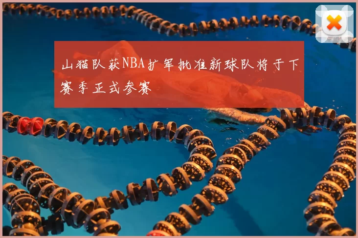 山猫队获NBA扩军批准新球队将于下赛季正式参赛
