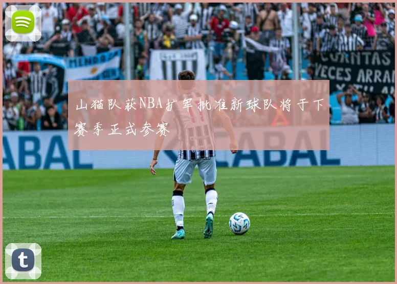 山猫队获NBA扩军批准新球队将于下赛季正式参赛