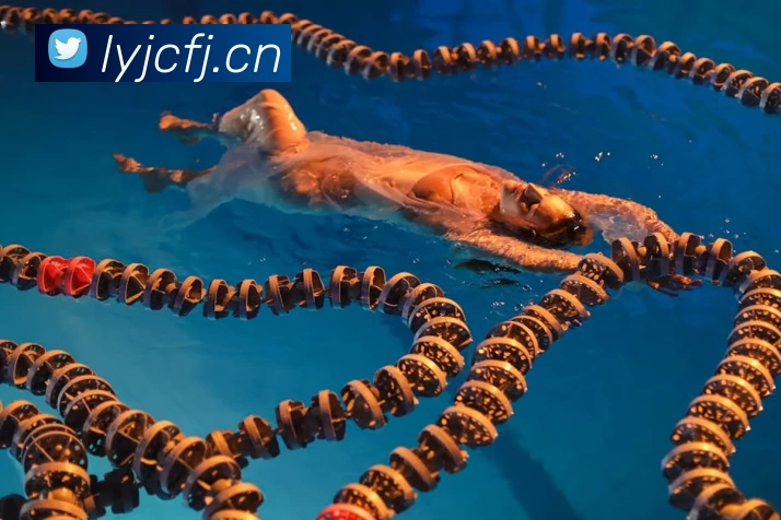 悟空·(中国)体育官方网站 - WOKONG SPORTS平台生态图